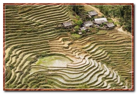 [59740-vn16-20110401144323%255B4%255D%255B2%255D.jpg]