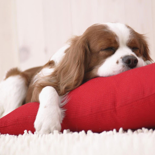 Hd-157432-ascw157432