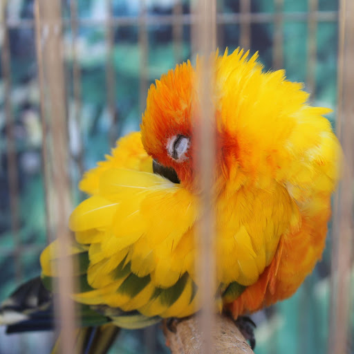 Hd-141578-ascw141578