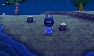 animal crossing new leaf beetle catch guide 03