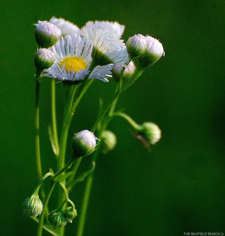 [DSC_9662%255B9%255D.jpg]
