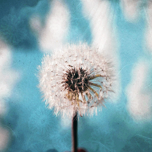 Hd-170662-ascw170662