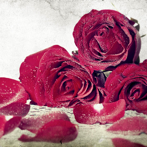 Hd-132139-ascw132139