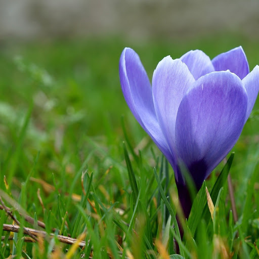 Hd-146606-ascw146606