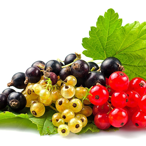 Hd-150545-ascw150545