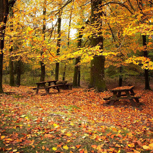 Hd-165443-ascw165443