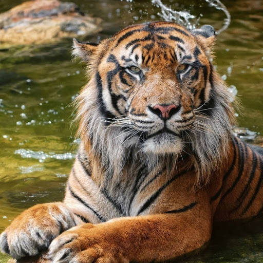 Hd-180371-ascw180371