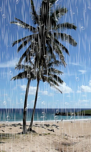 Beach Rain Live Wallpaper