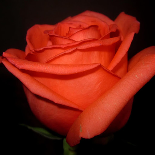 Hd-162057-ascw162057