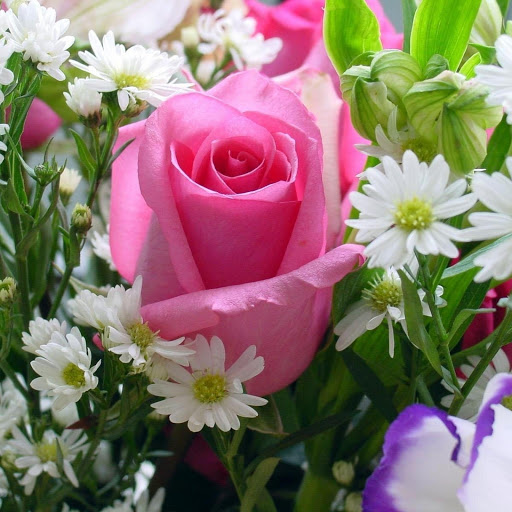 Hd-176167-ascw176167