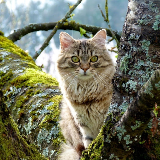 Hd-179037-ascw179037