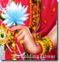 Sita holding flower