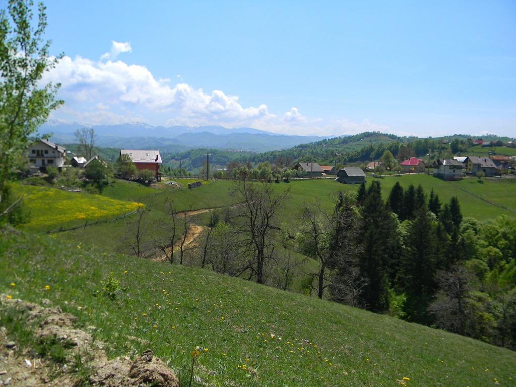 [DSCN86923.jpg]