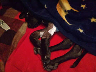 2011-10-14%25252019.45.41.jpg