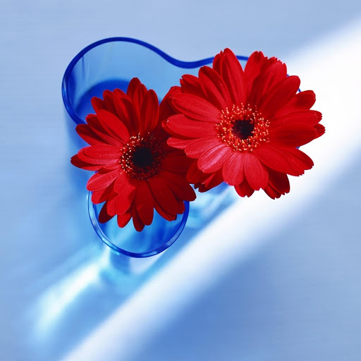 Hd-178549-ascw178549