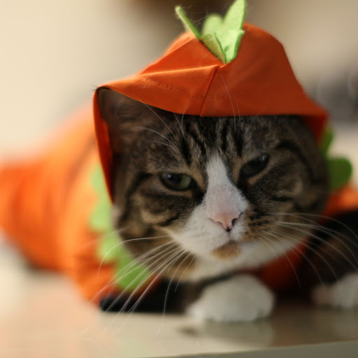 Hd-157635-ascw157635