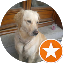 Image Google de Sylvie Bermond