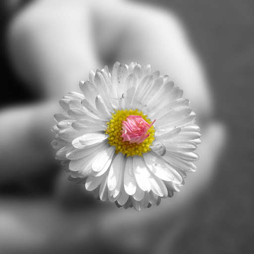 Hd-135926-ascw135926