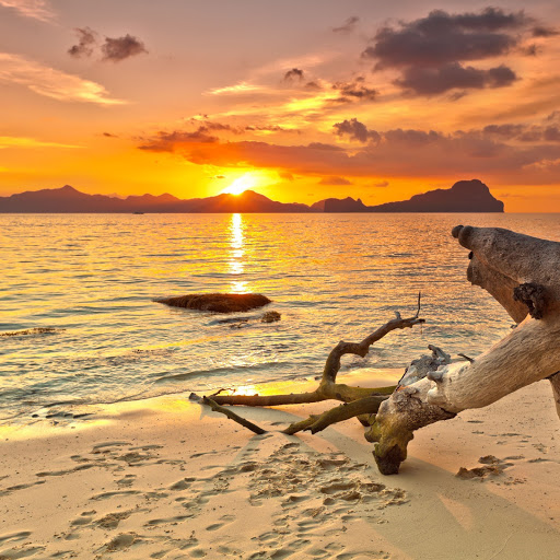 Hd-170828-ascw170828