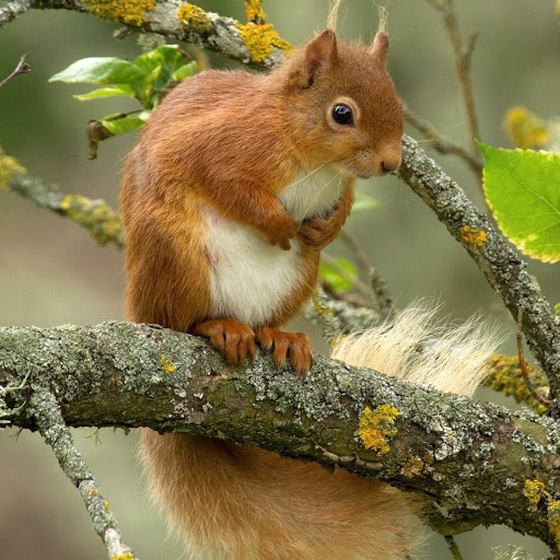 Hd-180614-ascw180614