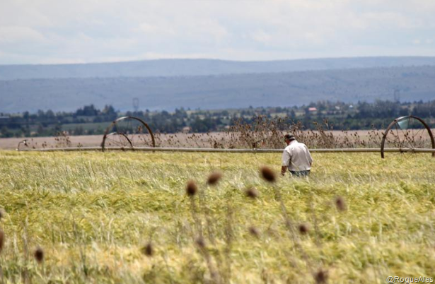 [image%255B4%255D.png]