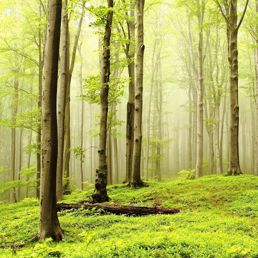 Hd-152694-ascw152694