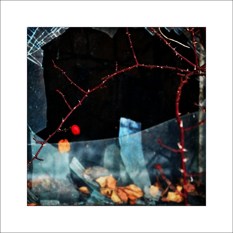 [301444_detail%255B2%255D.jpg]