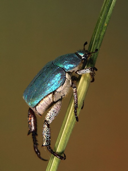 [gh02%255B2%255D.jpg]