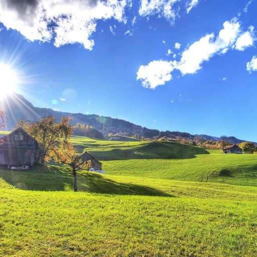 Hd-134433-ascw134433