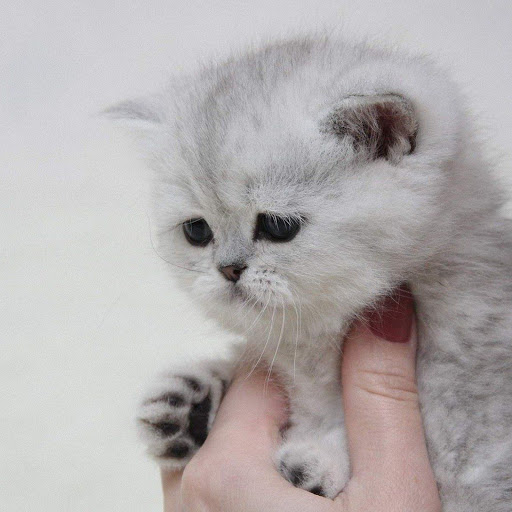 Hd-142452-ascw142452