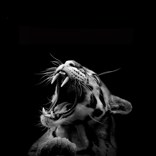 Hd-137486-ascw137486