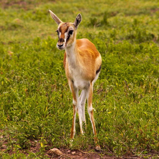 Hd-157425-ascw157425