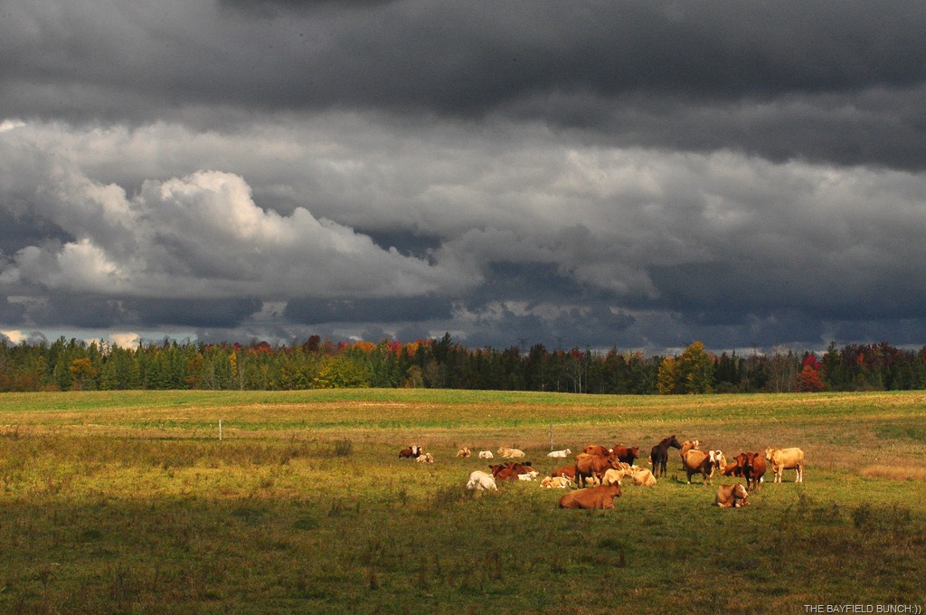 [DSC_0012%255B4%255D.jpg]