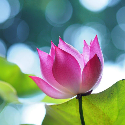 Hd-156694-ascw156694