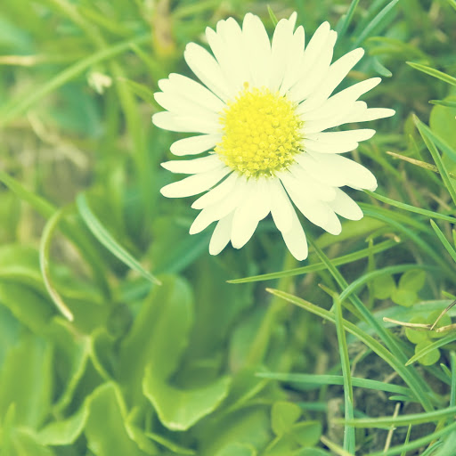 Hd-136154-ascw136154