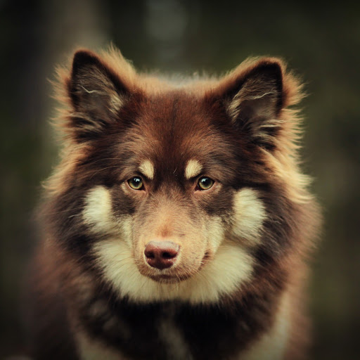 Hd-141188-ascw141188