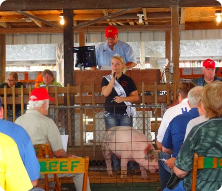 pig auction