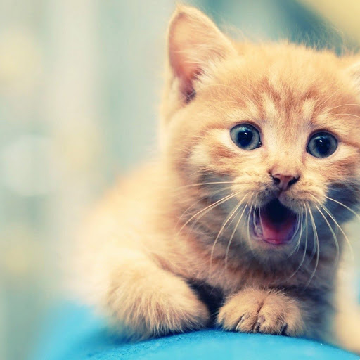 Hd-151178-ascw151178