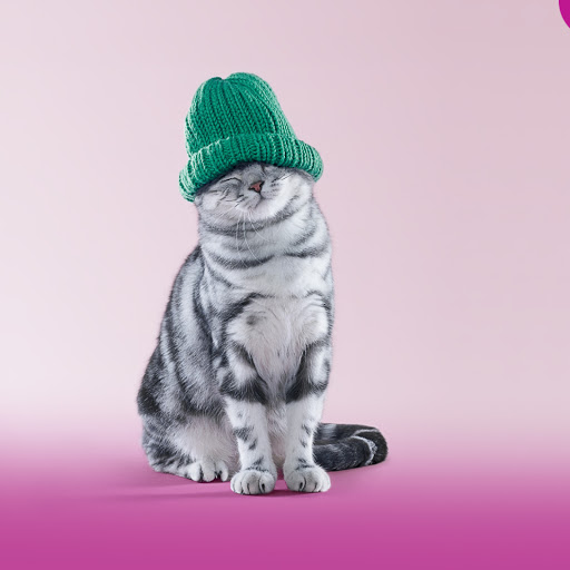 Hd-165886-ascw165886