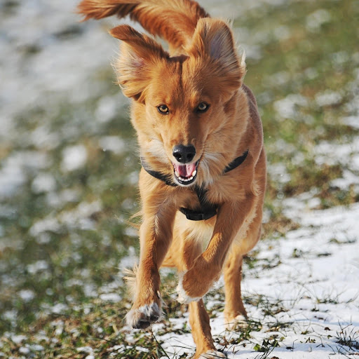 Hd-131803-ascw131803