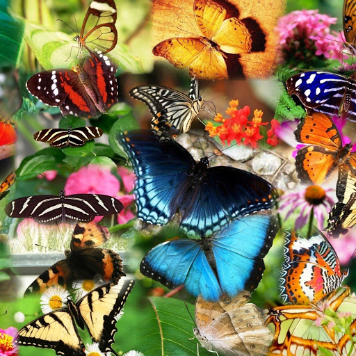 Hd-148316-ascw148316