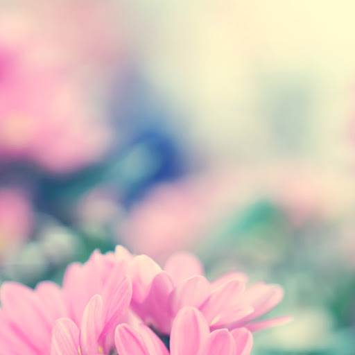 Hd-137700-ascw137700