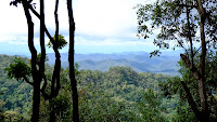 DSCF2164.JPG