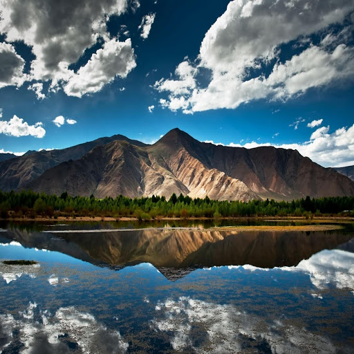 Hd-170369-ascw170369