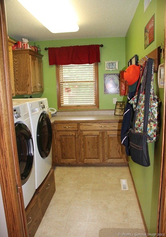 2012-06-28 Laundry Room (17)