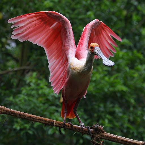 Hd-178980-ascw178980