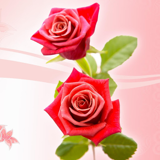 Hd-183247-ascw183247