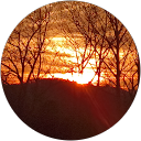 Quantum Health Management of Virginias profile picture