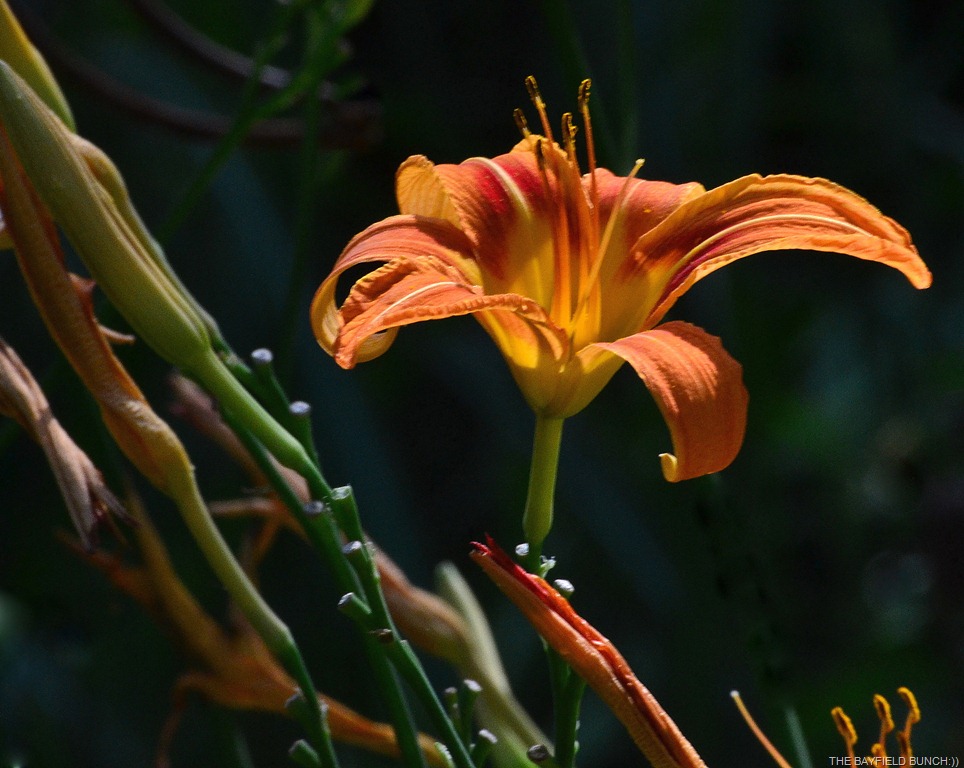 [DSC_0033%255B9%255D.jpg]