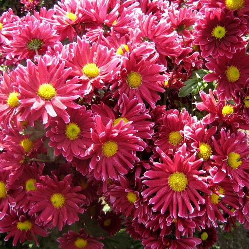 Hd-148230-ascw148230